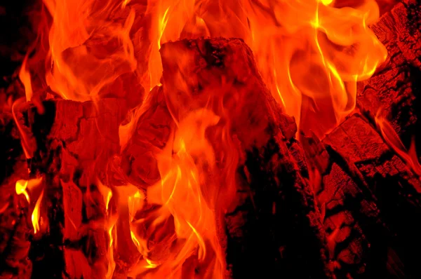 Llamas, fuego, fondo natural —  Fotos de Stock