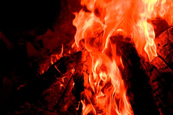 Llamas, fuego, fondo natural —  Fotos de Stock