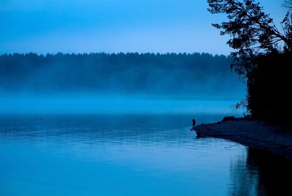 Kabut pagi-pagi di atas sungai — Stok Foto