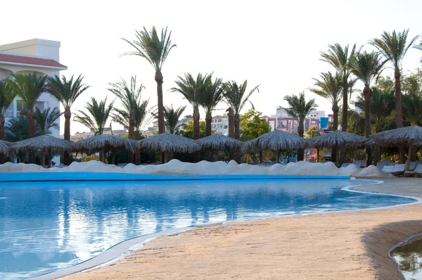 Palms near the pool — Stock Photo, Image