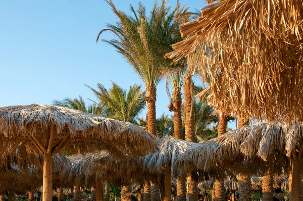 Parasol feito chalé de folhas de palmeira — Fotografia de Stock