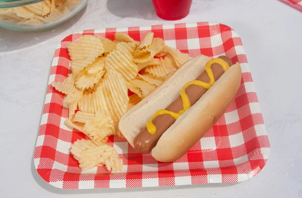 Hotdog d'été — Photo