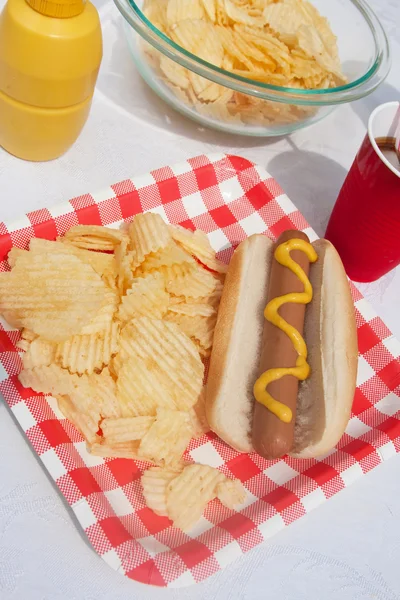 Hotdog estivo — Foto Stock