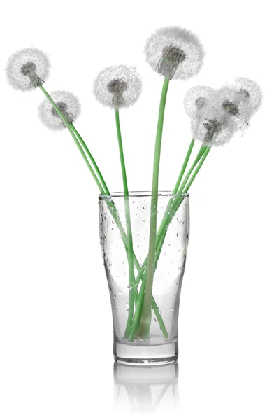 Dandelions in a glass — Stock Photo, Image