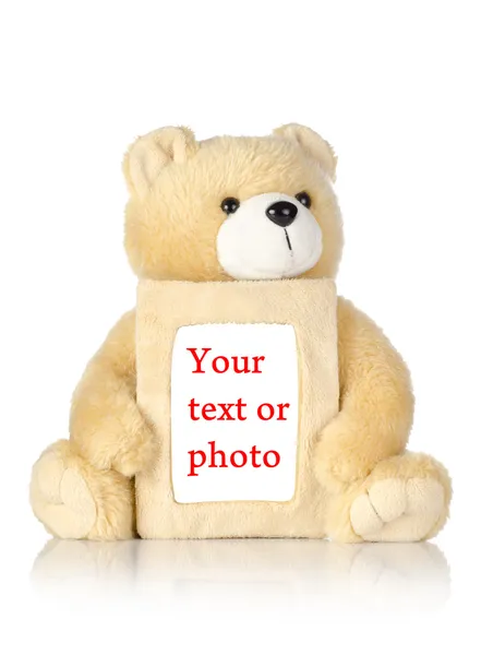 Teddybjörn med fotoram — Stockfoto