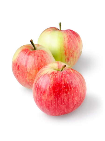 Üç olgun elma — Stok fotoğraf