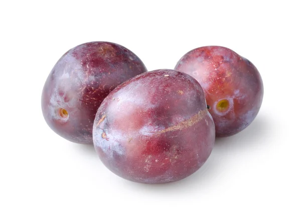 Three plums isolated — Stock Photo, Image