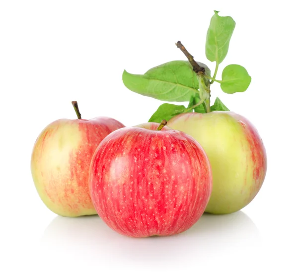 Три спелых яблока изолированы — стоковое фото