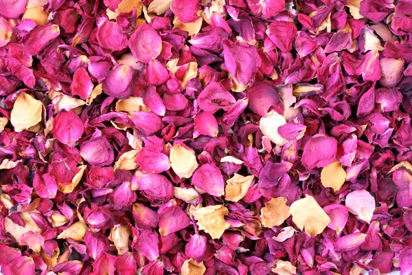 Dried petals — Stock Photo, Image