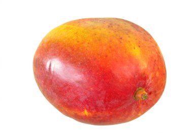 Mango beyaz