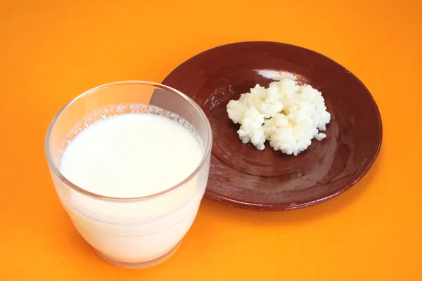 Грибы кефир и тибетское молоко — стоковое фото