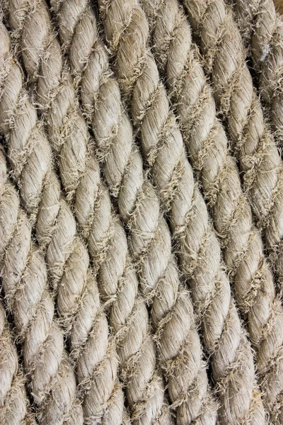Texture des cordes — Photo