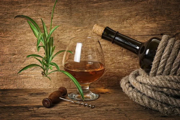 Láhev vína, zabalené s lan — Stockfoto
