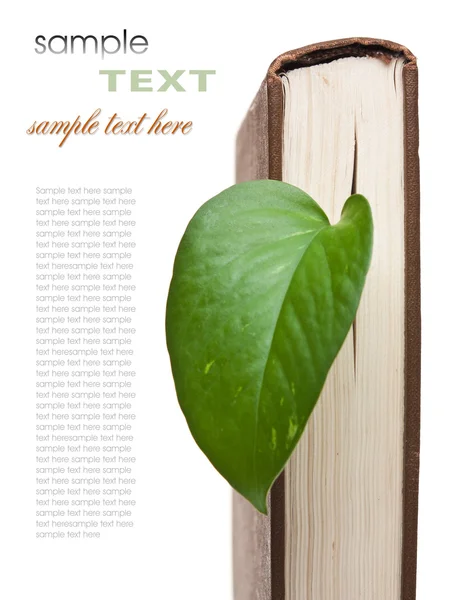 Libro con una hoja verde —  Fotos de Stock