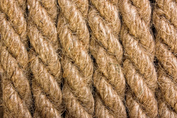 stock image Texture of the ropes