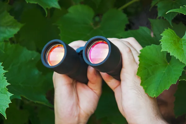 Watching with binoculars — Stock Photo, Image