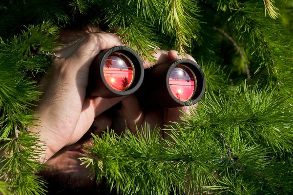 Observación con prismáticos —  Fotos de Stock