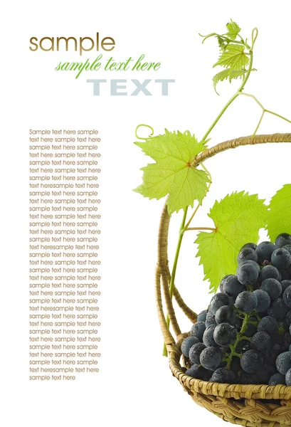 Виноград з листям — стокове фото