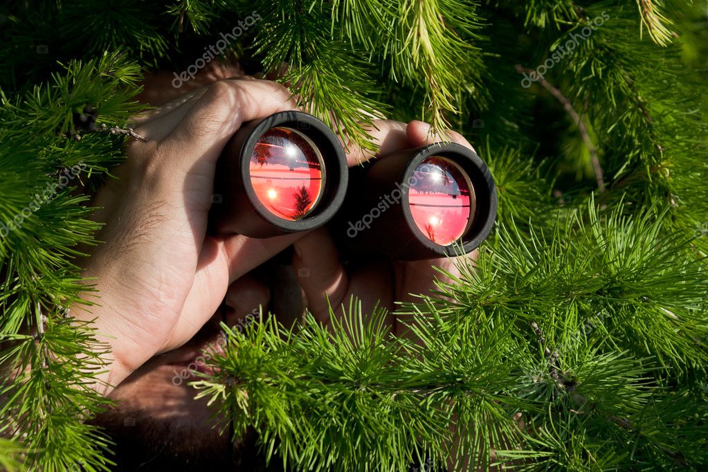 depositphotos_6252541-stock-photo-watching-with-binoculars.jpg
