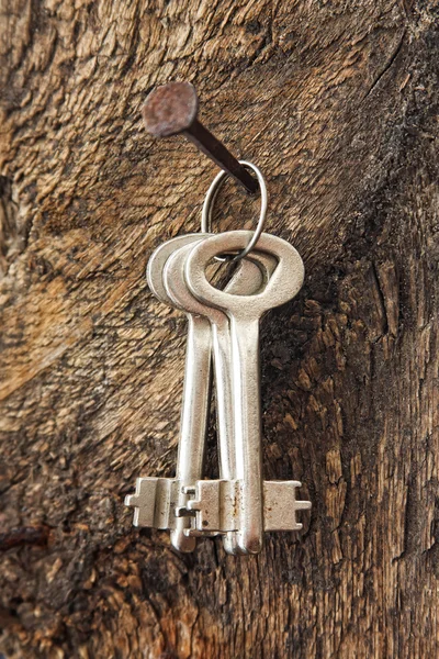 Las llaves olvidadas en un clavo viejo — Foto de Stock