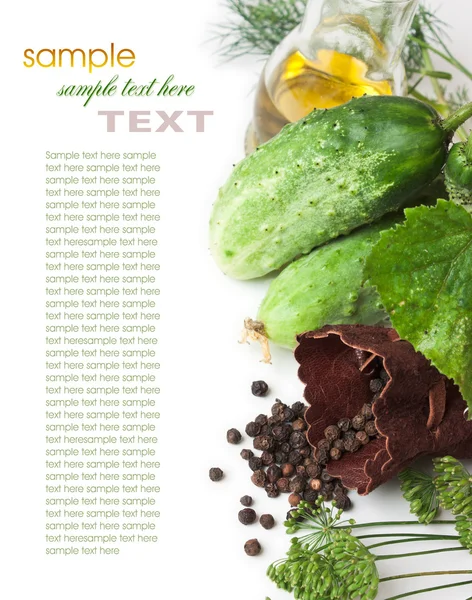 Pepinos y especias en vinagre — Foto de Stock