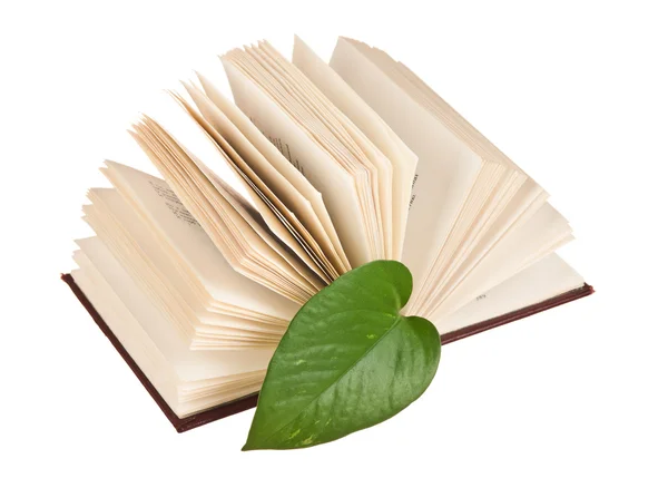 Lanciato libro con una foglia verde — Foto Stock