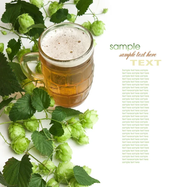 Birra e luppolo — Foto Stock