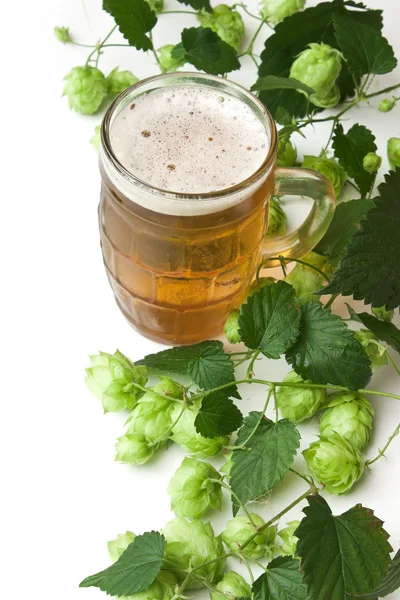 Cerveja e lúpulo — Fotografia de Stock