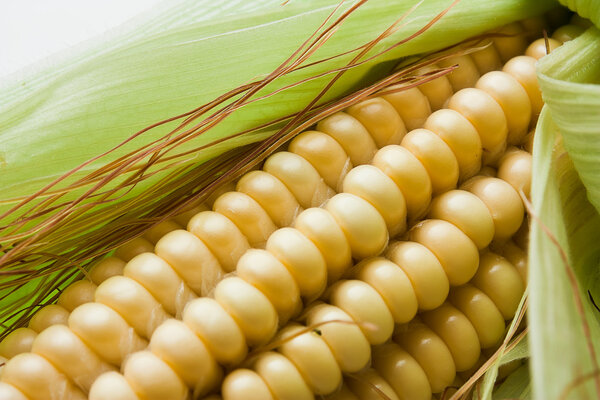 Сладкая кукуруза
