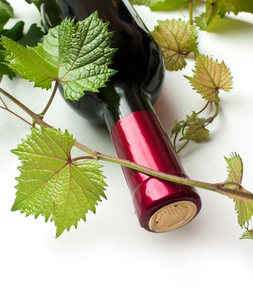 Láhev vína — Stock fotografie