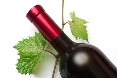 Bottle of wine clipart