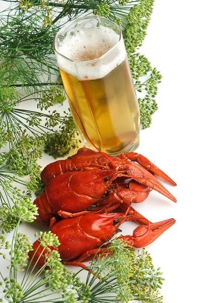 Boiled crayfish with dill — Stock Photo, Image