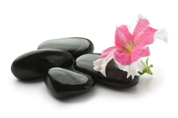 stock image Spa with black stones