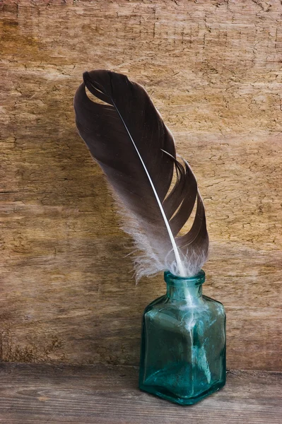 Inkwell con una pluma — Foto de Stock