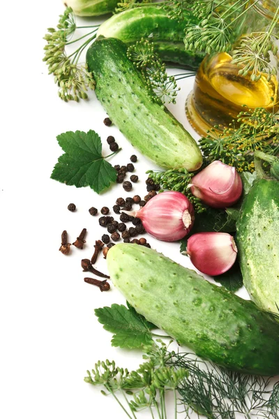 Pickling cucumbers and spices — Stock Photo, Image