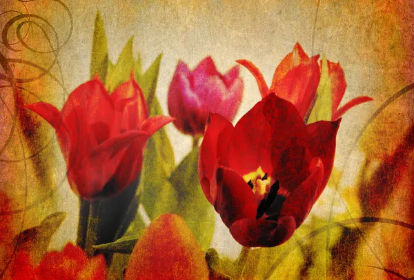 Vintage tulips with water droplets — Stock Photo © Mobilee #7962522