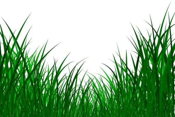 Ilustrace trávy — Stock fotografie