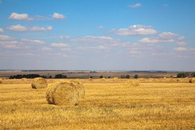 haybale peyzaj