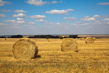 haybale peyzaj