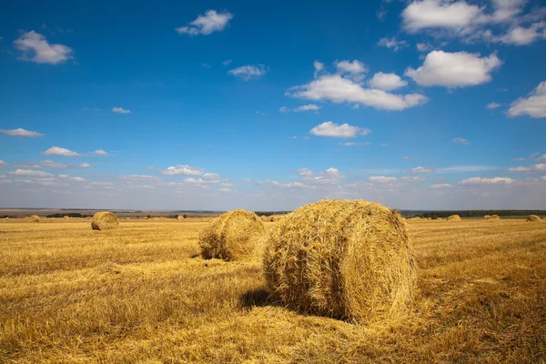 stock image Haybale landscape