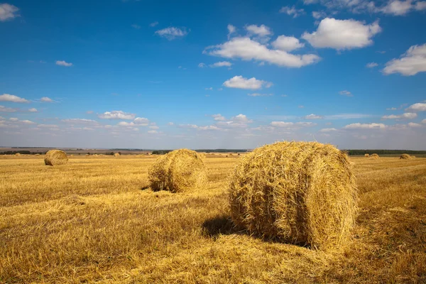 stock image Haybale landscape