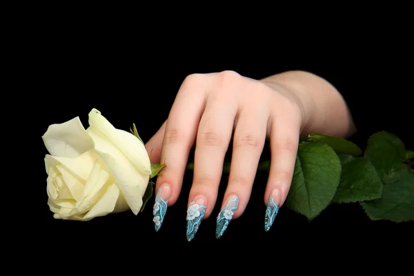 長い指の爪と黒に分離された美しいマニキュアと指 — ストック写真