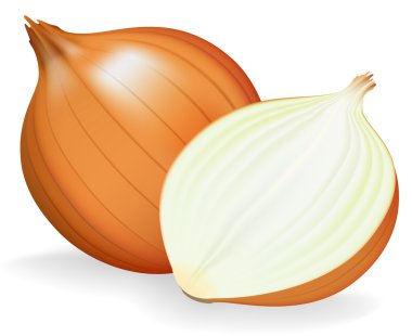 Golden onion whole and half. Vector illustration. clipart