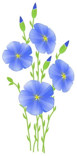 Fleurs bleuet bleu. Illustration vectorielle . — Image vectorielle