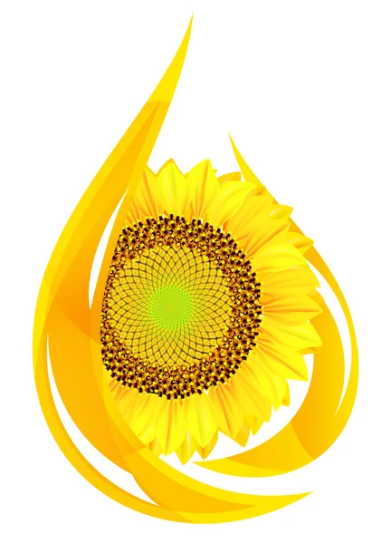 Blütenöl. stilisierter Tropfen Öl und Sonnenblume. — Stockvektor