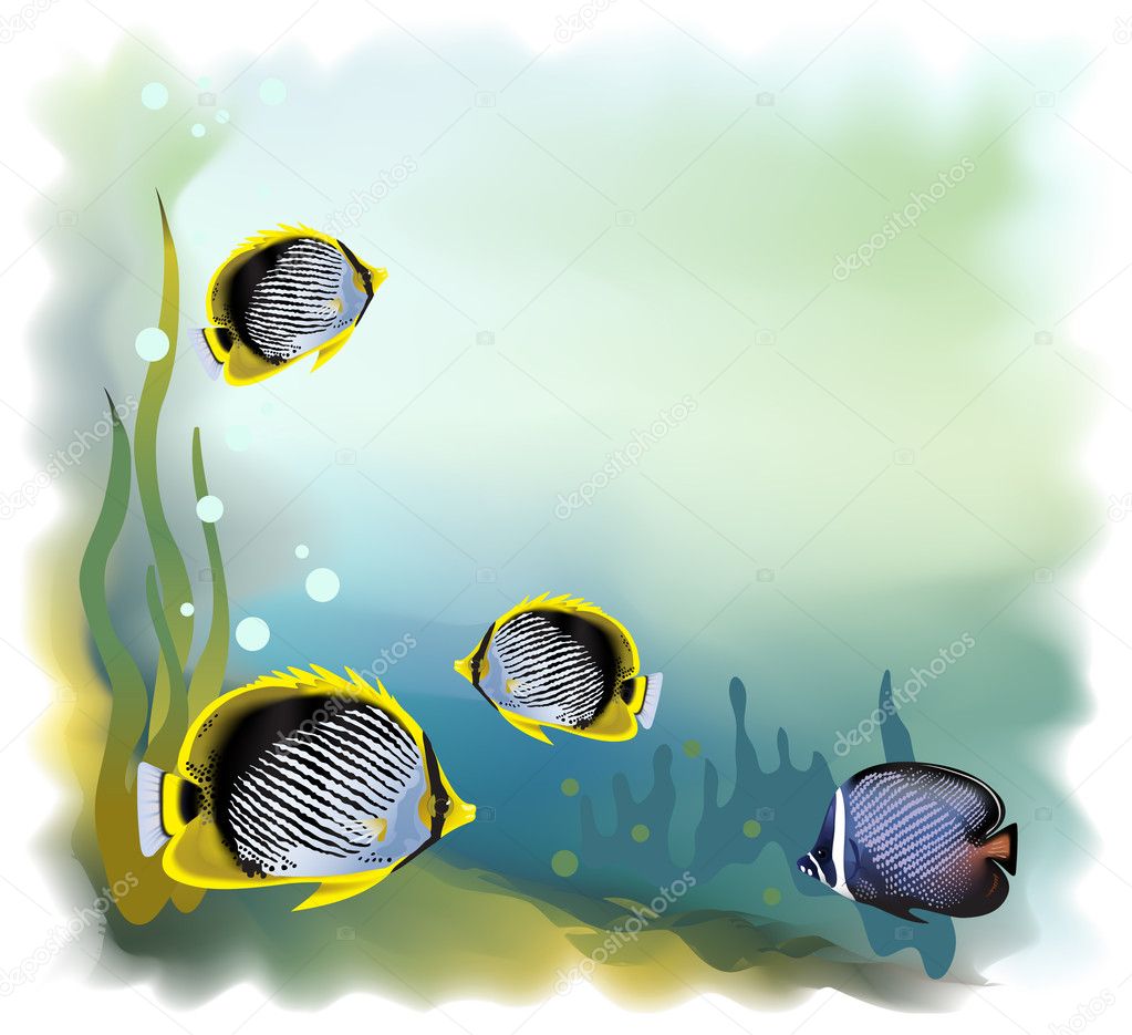 Background - Underwater World. Vector illustration.