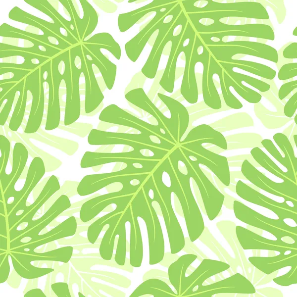 Leaves of tropical plant - Monstera. Seamless vector background. — Stock Vector