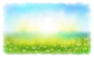 Sun-drenched meadow with daisies. Sunny summer day outdoors.
