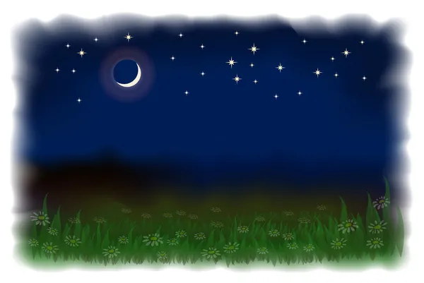 Луг с маргаритками. Ночной пейзаж с луной и звездами. N — стоковый вектор
