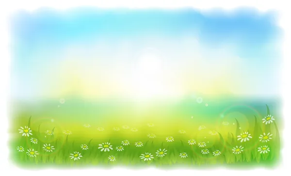 太陽の降り注ぐヒナギクと草原。日当たりの良い夏の日の屋外. — ストックベクタ